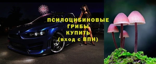 дживик Богородск