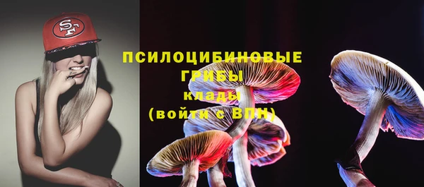 дживик Богородск