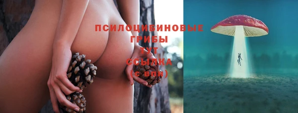 a pvp Богданович