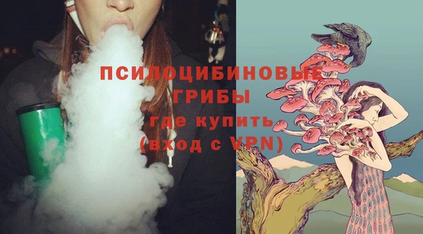 не бодяженный Богородицк